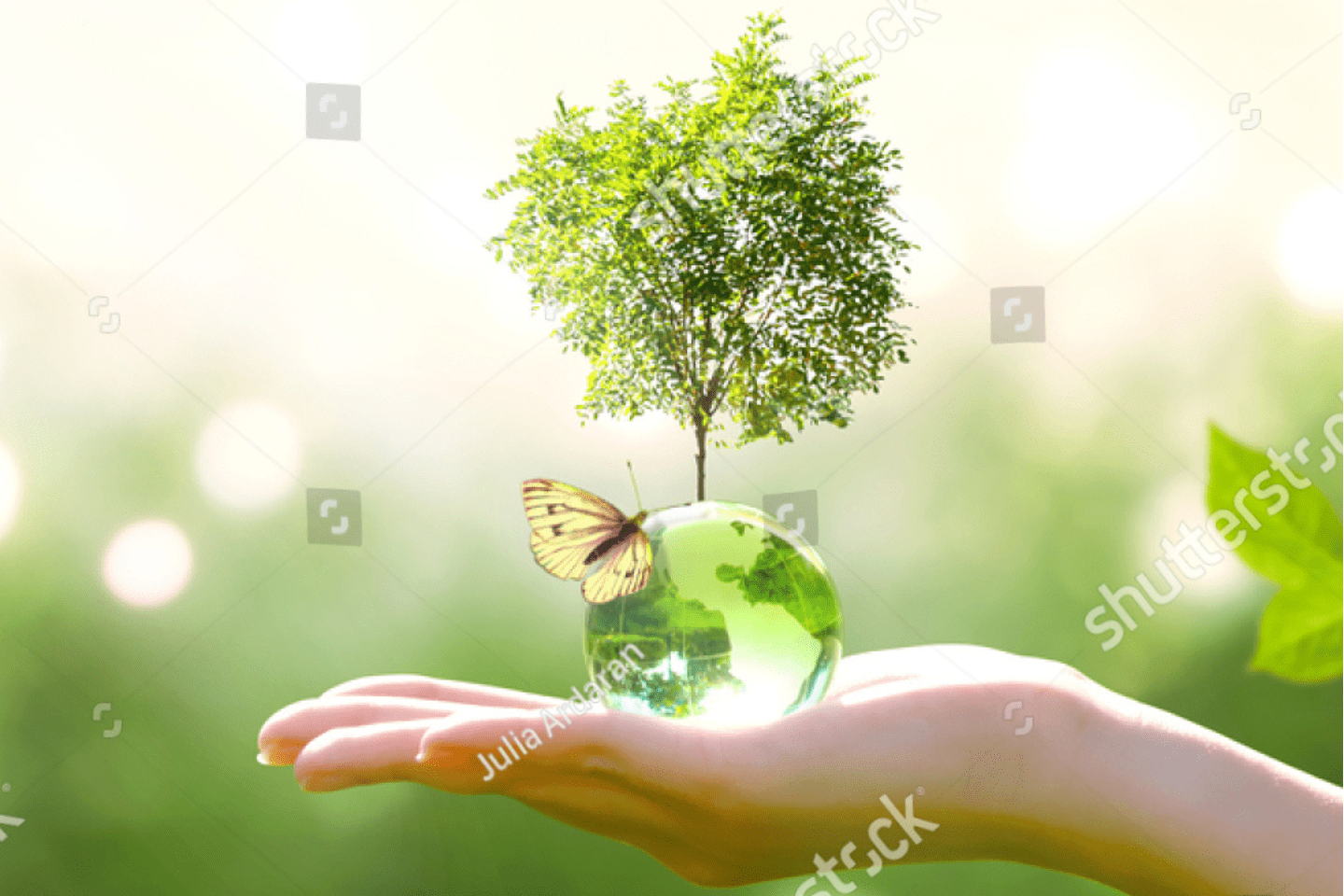 A hand holds a small globe with a tree growing from it and a butterfly perched on the globe, symbolizing environmental conservation.